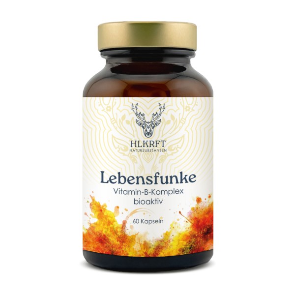 Vitamin-B-Komplex – Lebensfunke